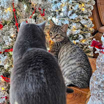 Thumbnail photo of 1125-62 Fred #3