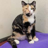 Thumbnail photo of Bloom #4