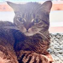 Thumbnail photo of Carly #1