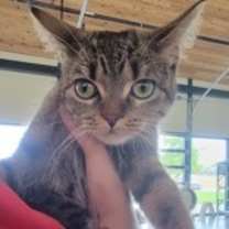 Thumbnail photo of Carly #4