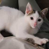 Thumbnail photo of Barney #1