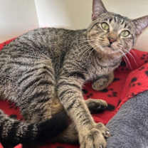 Thumbnail photo of Charlie #1