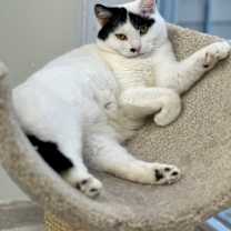 Thumbnail photo of Marilyn Monroe #3