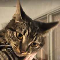 Thumbnail photo of Alice/ Jimmy #1