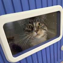 Thumbnail photo of Zach Bryan #1