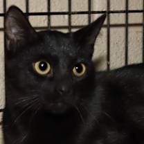 Thumbnail photo of Monty #1