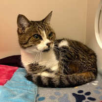 Thumbnail photo of Katie #3