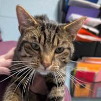 Thumbnail photo of Tiny Planet #3