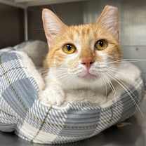 Thumbnail photo of Adalyn #1