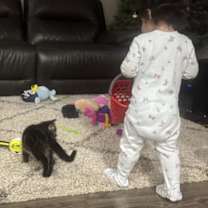 Thumbnail photo of Oreo #3