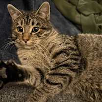 Thumbnail photo of Jamie #2