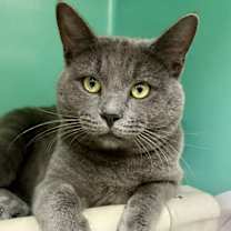 Thumbnail photo of Raymond #1