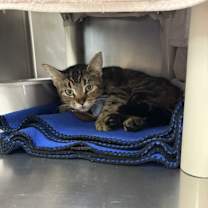 Thumbnail photo of River #1