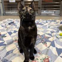 Thumbnail photo of Lynn #1