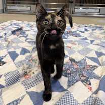 Thumbnail photo of Lynn #3