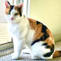 Thumbnail photo of Nelly #1