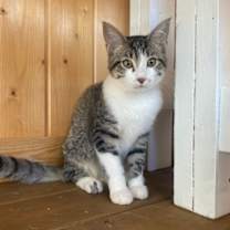 Thumbnail photo of Wally #1