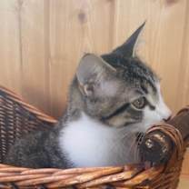 Thumbnail photo of Wally #2