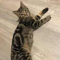 Thumbnail photo of Christian #2