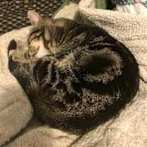 Thumbnail photo of Christian #3