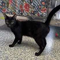 Thumbnail photo of Edwins Trail Mix #3