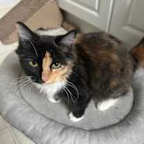 Thumbnail photo of Mary Alice #1