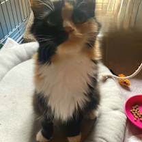 Thumbnail photo of Mary Alice #2