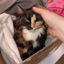 Thumbnail photo of Mary Alice #4