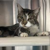 Thumbnail photo of Rosana #1