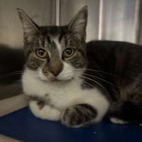 Thumbnail photo of Rosana #3