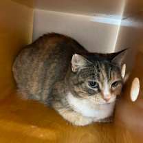 Thumbnail photo of Drew #2