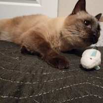 Thumbnail photo of Theo #4