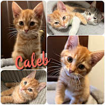 Thumbnail photo of Caleb #1