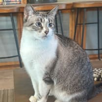 Thumbnail photo of Bella Mae #1