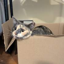 Thumbnail photo of Cassie #4