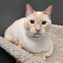 Thumbnail photo of Arlo #1