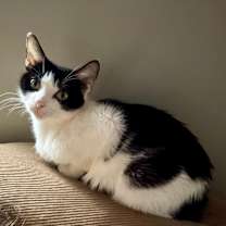 Thumbnail photo of Mindy  #2