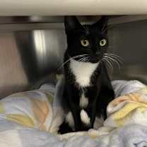 Thumbnail photo of Gwen #1