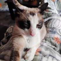 Thumbnail photo of Nova Jane #3