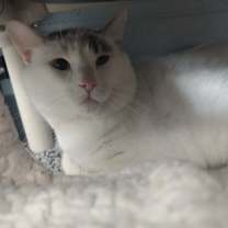 Thumbnail photo of Casper #2