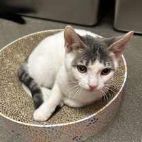 Thumbnail photo of Luke #2