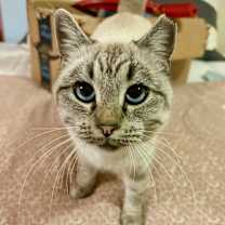 Thumbnail photo of Fannie Mae #1