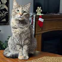 Thumbnail photo of Nessa #3