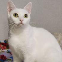 Thumbnail photo of Libby #4