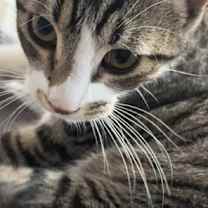 Thumbnail photo of Jack #1