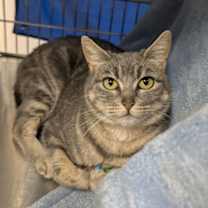 Thumbnail photo of Tamara #4