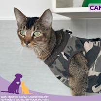 Thumbnail photo of Candy #2