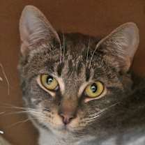 Thumbnail photo of Pozole #2