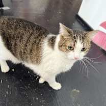 Thumbnail photo of Cash #1