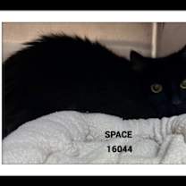 Thumbnail photo of SPACE #1